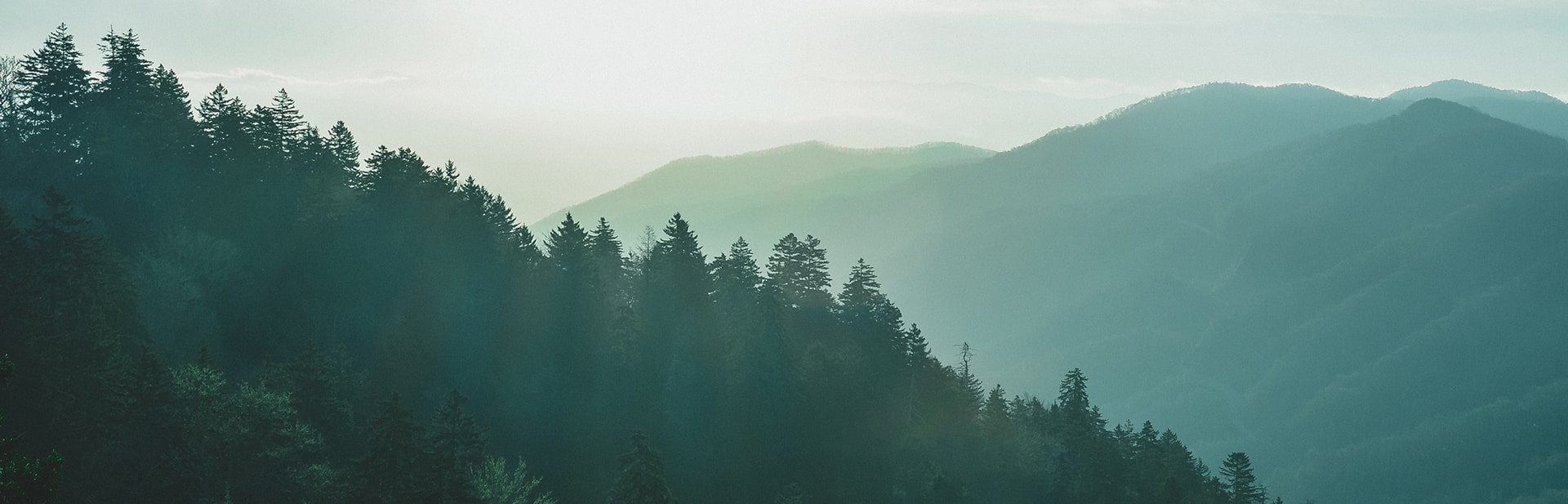 De Microgaming Casinos